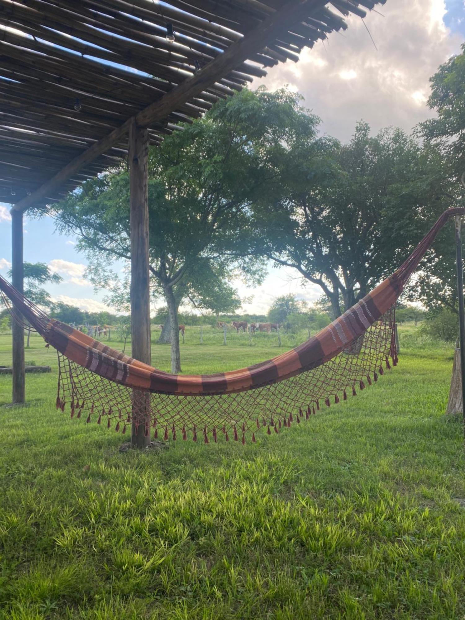 La Choza - Yellow Cardinal Holiday home *
